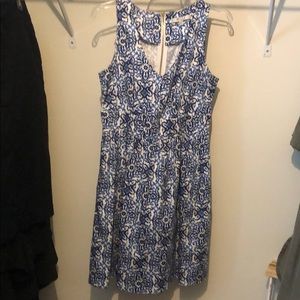 Fit and flare blue and white dress